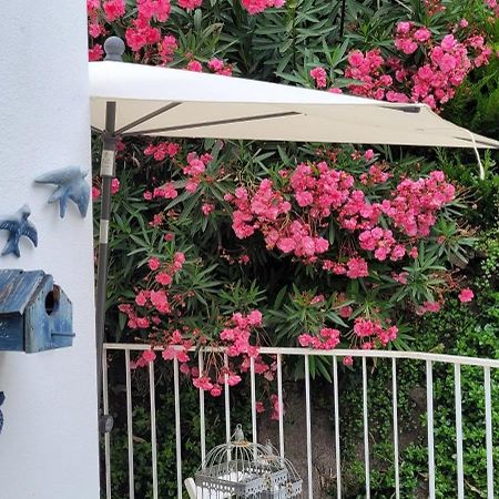 Red House By The River بورتو المظهر الخارجي الصورة